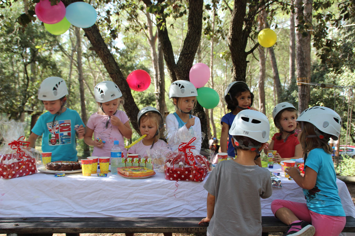 Anniversaire Accrobranche Dans Le Vaucluse